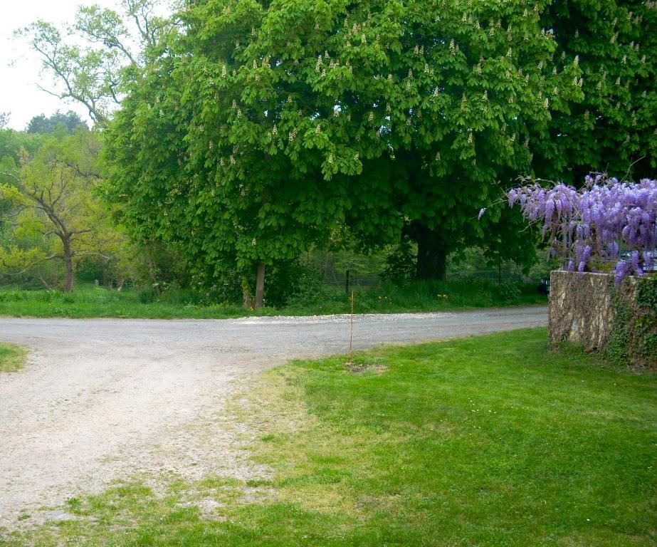 Bed and Breakfast Sous Les Marronniers Petit-Palais-et-Cornemps Exterior foto